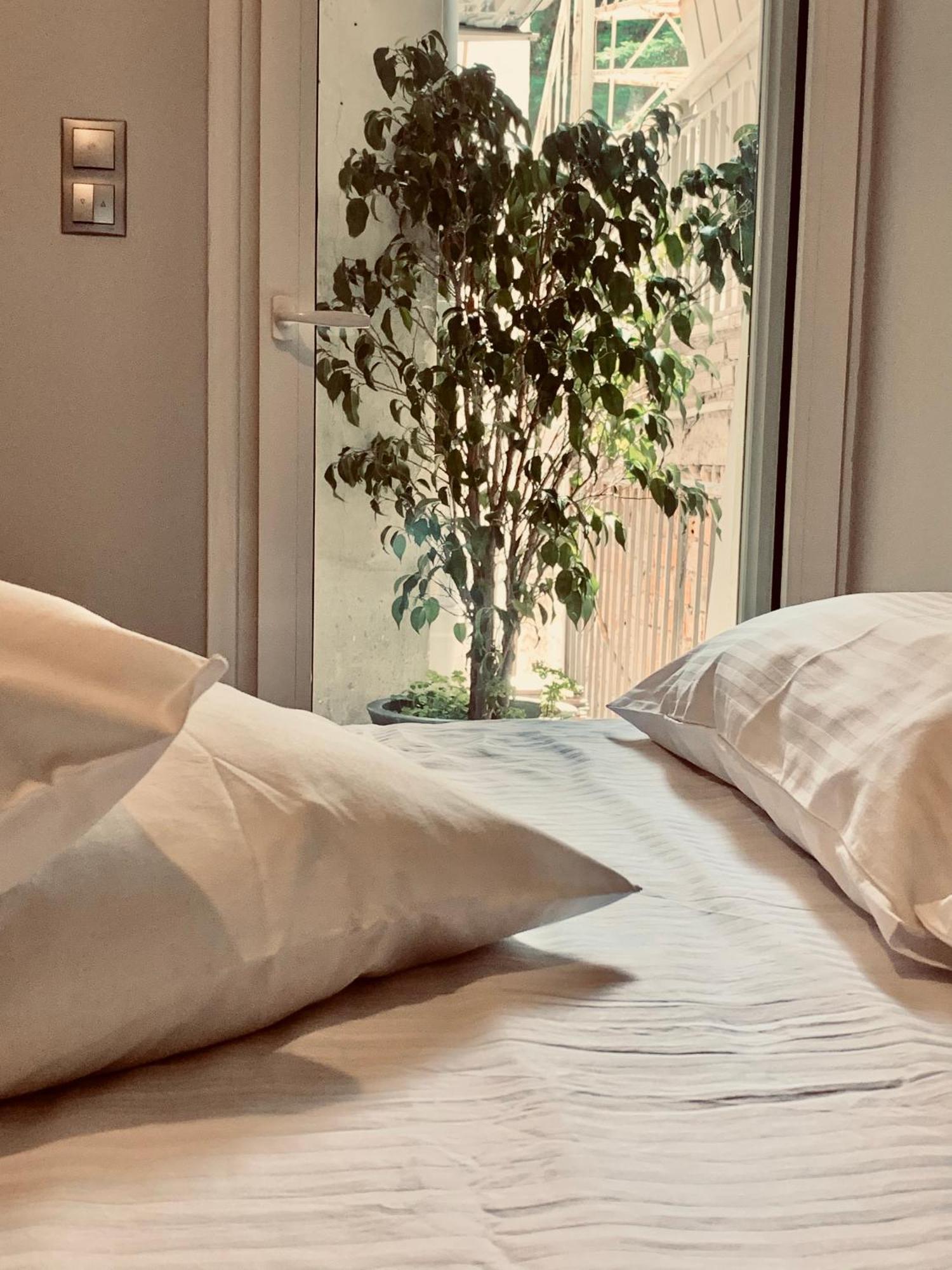 Olympian Zeus Apartments Athens Ngoại thất bức ảnh